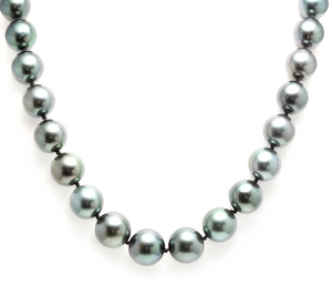 12-14.80mm Tahitian Pearl Necklace 14k Solid White Gold Clasp
